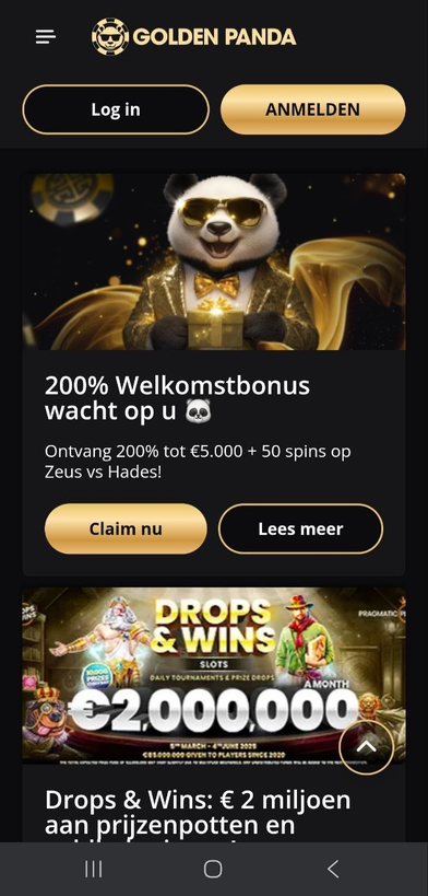 golden panda casino Gameplay